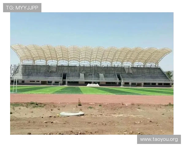 南宫体育网址内容更新频率及如何获取最新体育资讯