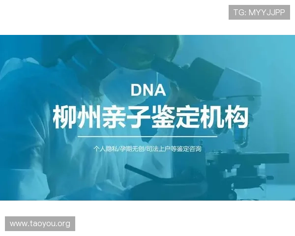 南宫地址登录入口详细流程及常见问题解决方案