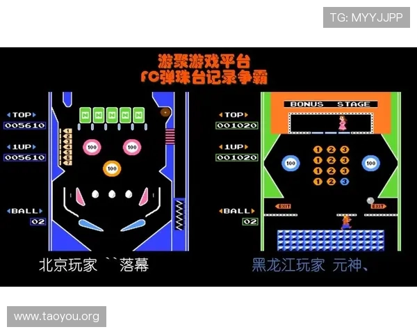 一站式获取FC游戏合集下载平台,丰富多样的经典游戏任意选择 一站式获取FC游戏合集下载平台,丰富多样的经典游戏任意选择