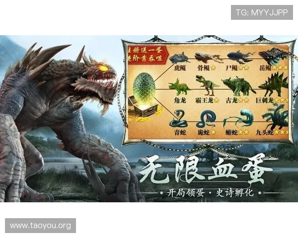 出龙和虎的玩法策略分析：打造属于你的强势战斗风格