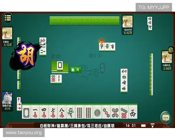 十三水怎么玩才能赢得更多胜利全面攻略与实用技巧分享