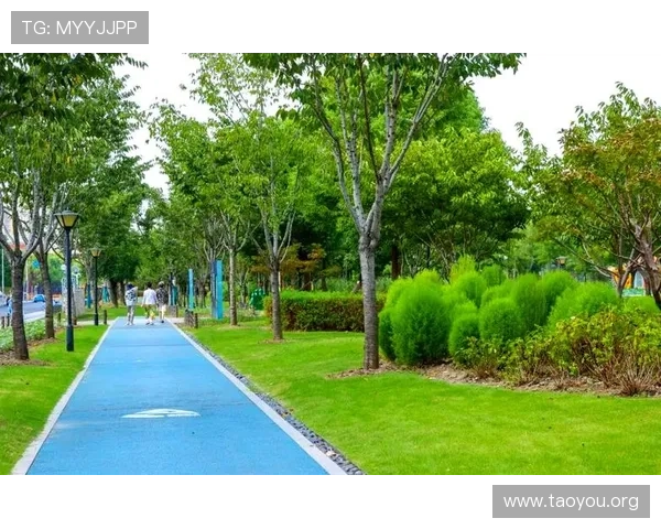 南宫体育公园环境与景观特色全面介绍助您领略自然与运动的完美结合