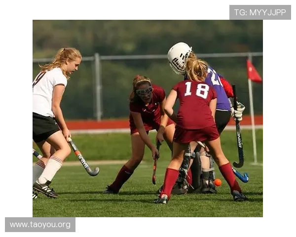 南宫体育馆举办的各类体育赛事及活动安排，精彩不断不容错过