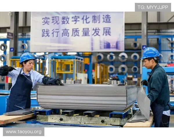 打造龙虎品牌的核心要素与成功案例分享助力游戏开发者实现品牌突破